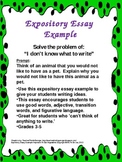 Expository Essay Example - A Pet I Would Not Like to Have