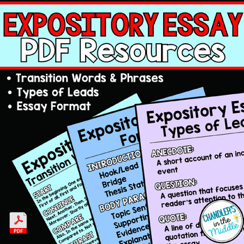 Preview of Expository Essay Resources | Format | Transitions | Types of Leads/Hooks | PDF