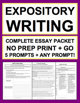 Preview of Expository Essay Writing: No Prep Elaboration Practice