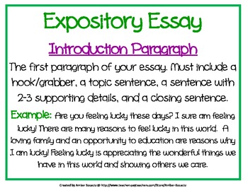 essay first paragraph example
