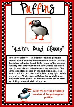 Preview of Expository Practice Passage NonFiction Text PUFFINS SMARTBOARD
