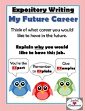 Expository Writing- My Future Career
