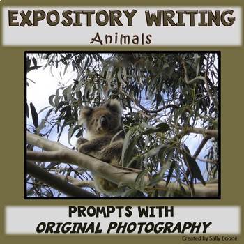 Writing Prompts Animals ExpositoryWriting by Sally Boone | TpT