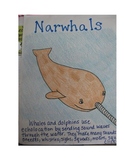 Expository Writing for Whales and Dolphins that Use Echolo