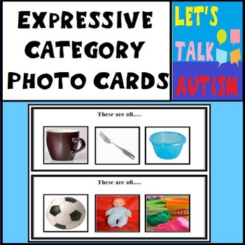 Preview of Expressive Category Photo Cards Tact Categories Class