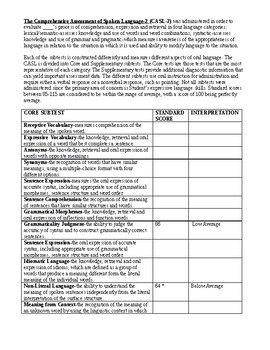 Preview of Speech Therapy-Expressive & Receptive Language Bundle