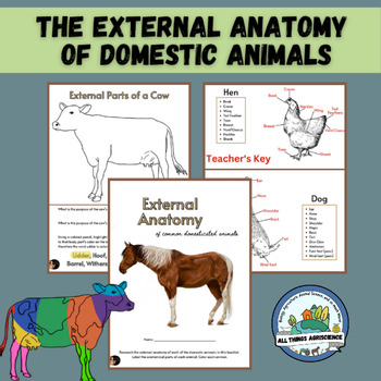Preview of External Anatomy of Domestic Animals - Parts of Animals
