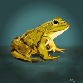 Preview of External Parts of the Frog