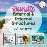External and Internal Structures of Animals BUNDLE Activit