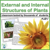 External and Internal Structures of Plants  4-LS1