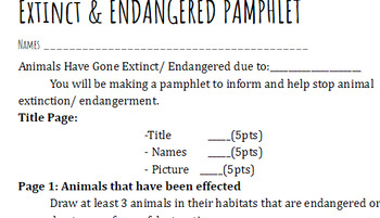 Preview of Extinct/ Endagered Animal Pamphlet Rubric