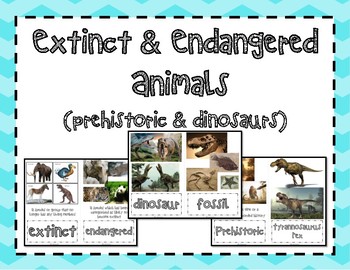 Preview of Extinct and Endangered Animals- Prehistoric and Dinosaurs