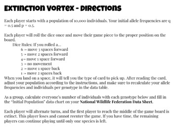 Vortex Evolution