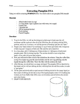 Preview of Extracting Pumpkin DNA Lab