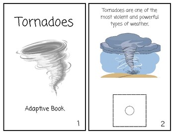 Preview of Extreme Weather Adaptive Books & Matching Card Games