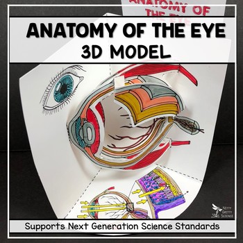 Preview of Eye Anatomy Model - 3D