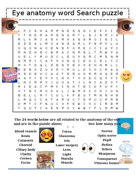 Preview of Eye Anatomy Word Search Puzzle