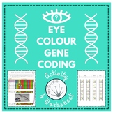 Eye Colour Gene Coding