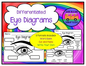Preview of Eye Diagram - Differentiated Worksheets and EASEL Activities