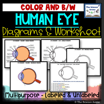 7,424 Human Eye Diagram Images, Stock Photos & Vectors | Shutterstock