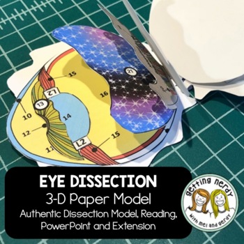 Preview of Eye Paper Dissection - Scienstructable 3D Dissection Model