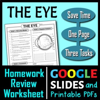 Preview of Eye Homework Review Worksheet / Test Prep | Print & Google Slides Options