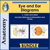 Eye and Ear Diagrams To Color and Label, with Reference an