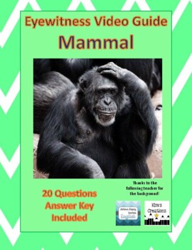 Eyewitness Mammal Worksheets Teaching Resources Tpt