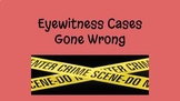 Eyewitness Testimony Gone Wrong (Forensics - Google Slides