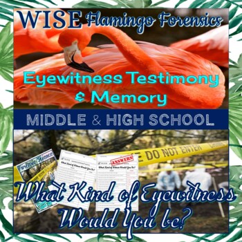 Preview of Eyewitness Testimony and Memory Self Check PRINT and DIGITAL
