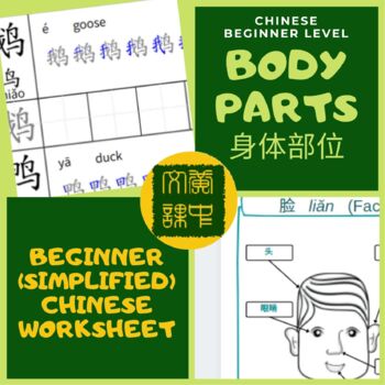 Preview of FACE BODY Simplified Chinese Mandarin Pin Yin Writing Instructional Worksheet
