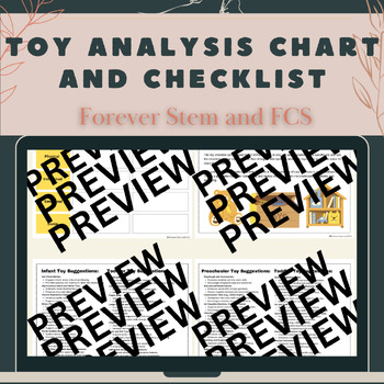 Preview of FACS Comprehensive Child Development Toy Analysis and Checklist Activity-CTE