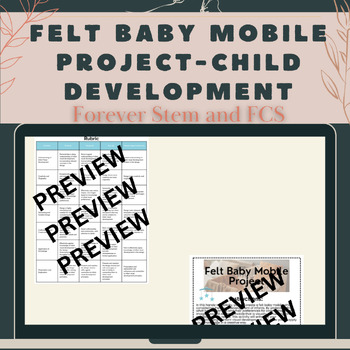 Preview of FACS Felt Baby Mobile Project Child Development -CTE