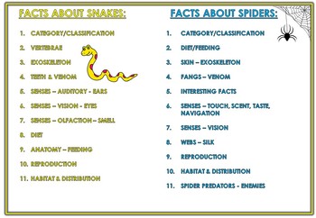 Preview of FACTS ABOUT SNAKES & SPIDERS PREP TO Y6 - LITERACY RESOURCES by JEANETTE VUUREN