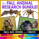 FALL ANIMAL RESEARCH BUNDLE!  Owls , Bats , Spiders , Turk