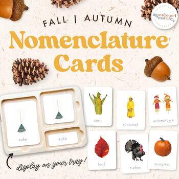 Preview of FALL Montessori Nomenclature Cards, Autumn, Preschool Flash Cards