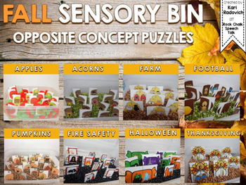 Preview of FALL Sensory Bin Opposite Concept/Antonym Puzzle Cards