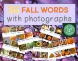 FALL Words_Activity Cards | Center | Vocabulary | Printing