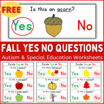 yes no questions worksheets teaching resources tpt