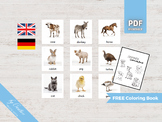 FARM ANIMALS • 18 Montessori Cards • German Spanish Flashc