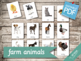 FARM ANIMALS • 22 Editable Montessori 3-part Cards • Flash