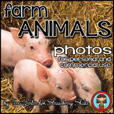 Photos Photographs FARM ANIMALS for Personal and Commercial Use