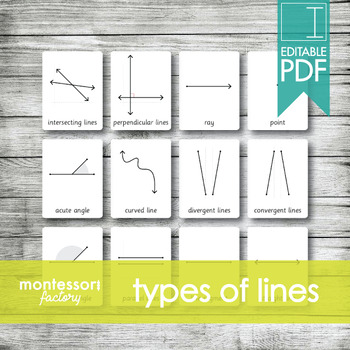 Preview of TYPES OF LINES | MONTESSORI Printable Nomenclature Three Part Cards