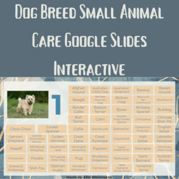 Preview of FFA Dog Breed Identification Google Slides Hyperlink Interactive
