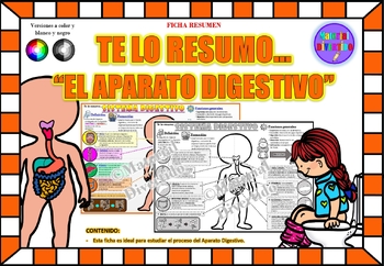 Preview of FICHA RESUMEN - Te lo Resumo..."El Aparato Digestivo" (IMPRIMIBLES) |BIOLOGÍA|