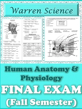 Preview of FINAL EXAM: Human Anatomy & Physiology (Fall-1st-Semester)-Cumulative