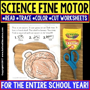 Preview of FINE MOTOR SKILLS with Reading Science Worksheets for Special Education Bundle
