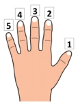 FINGER NUMBERS FOR PIANO OR MUSIC CORNER