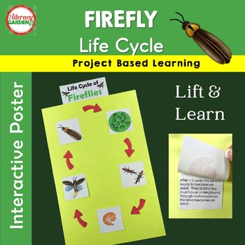 Preview of FIREFLY Insect Life Cycle
