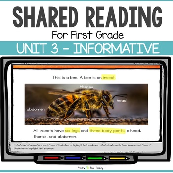 Preview of FIRST GRADE INFORMATIVE SHARED READING LESSONS and ACTIVITIES